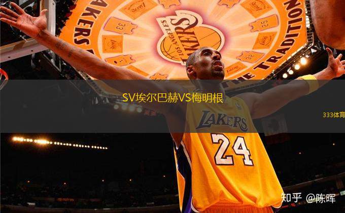 SV埃爾巴赫VS梅明根