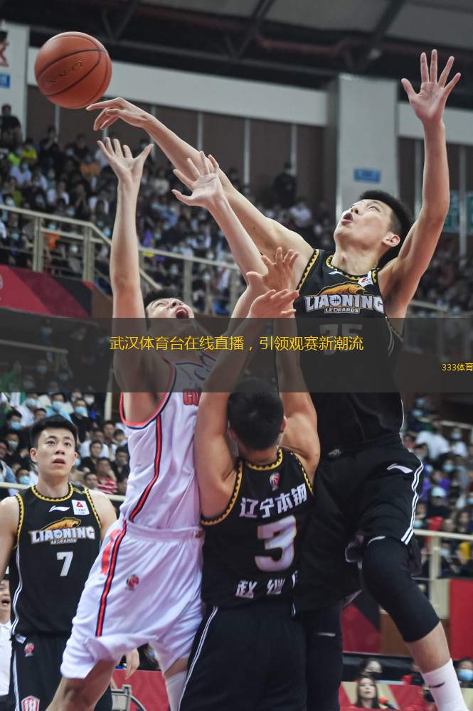 武漢體育臺在線直播，引領觀賽新潮流