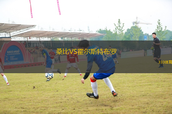 桑比VS霍爾斯特布羅