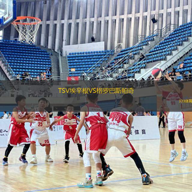 TSV埃辛根VS格羅巴斯帕奇
