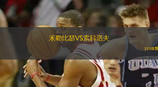 禾勒比瑟VS索科洛夫