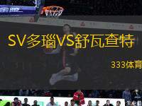 SV多瑙VS舒瓦查特