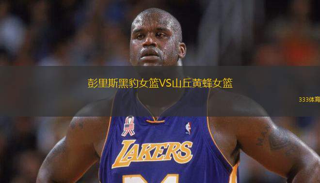 彭里斯黑豹女籃VS山丘黃蜂女籃