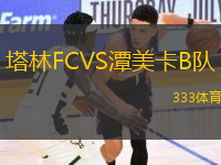 塔林FCVS潭美卡B隊(duì)