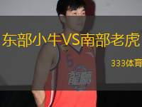 東部小牛VS南部老虎