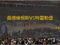 桑德維根斯VS特雷勒堡