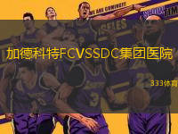 加德科特FCVSSDC集團(tuán)醫(yī)院
