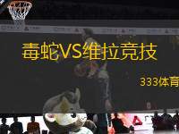 毒蛇VS維拉競(jìng)技