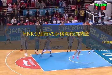 HNK戈里察VS薩格勒布迪納摩