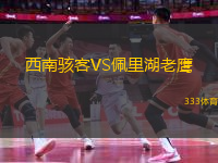 西南駭客VS佩里湖老鷹