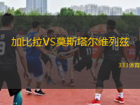 加比拉VS莫斯塔爾維列茲