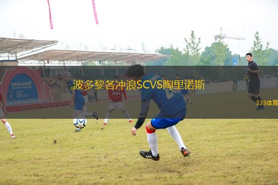 波多黎各沖浪SCVS陶里諾斯