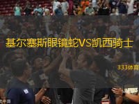 基爾塞斯眼鏡蛇VS凱西騎士