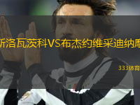 斯洛瓦茨科VS布杰約維采迪納摩