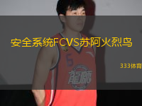 安全系統(tǒng)FCVS蘇阿火烈鳥
