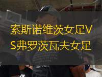 索斯諾維茨女足VS弗羅茨瓦夫女足