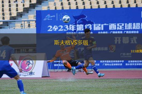 斯夫格VS多瑙