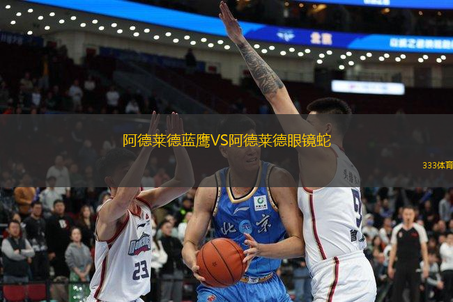 阿德萊德藍(lán)鷹VS阿德萊德眼鏡蛇