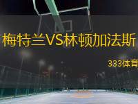 梅特蘭VS林頓加法斯