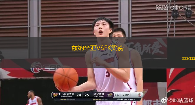 茲納米亞VSFK梁贊