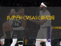 扎伊丹FCVSASC斯尼姆