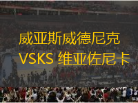 威亞斯威德尼克VSKS 維亞佐尼卡