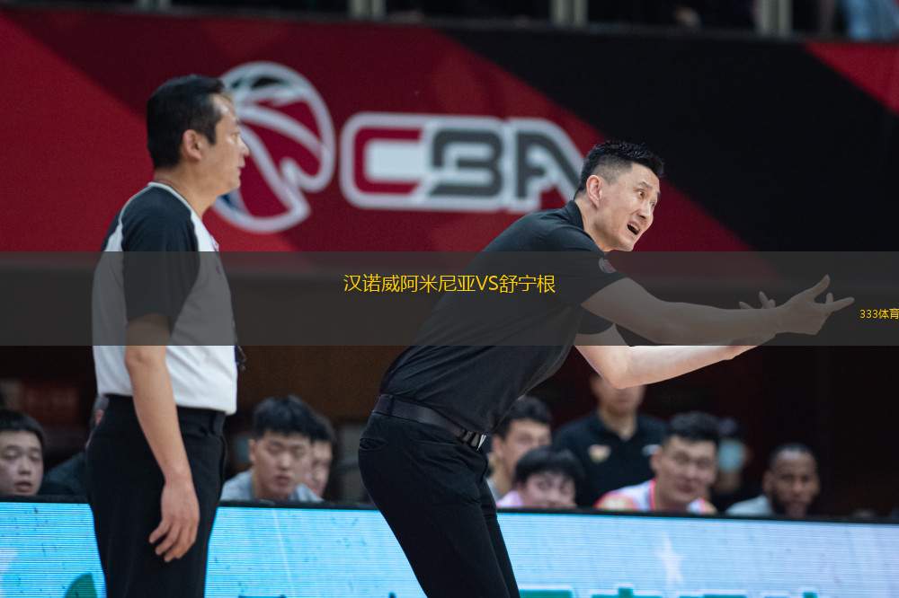 漢諾威阿米尼亞VS舒寧根