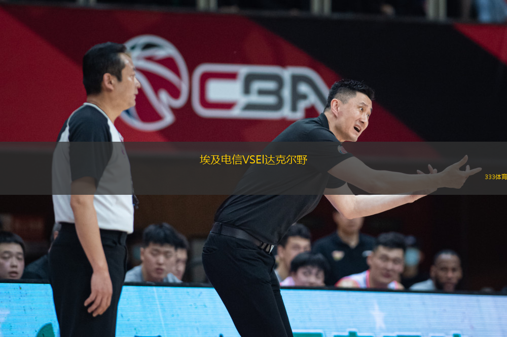 埃及電信VSEl達克爾野