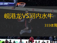 峴港龍VS河內(nèi)水牛