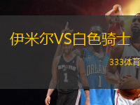 伊米爾VS白色騎士