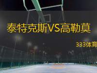 泰特克斯VS高勒莫