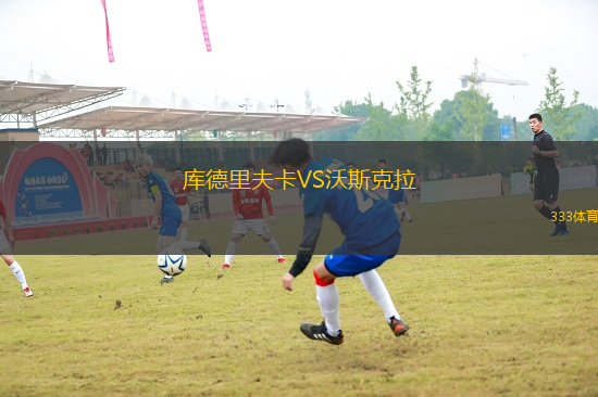 庫德里夫卡VS沃斯克拉