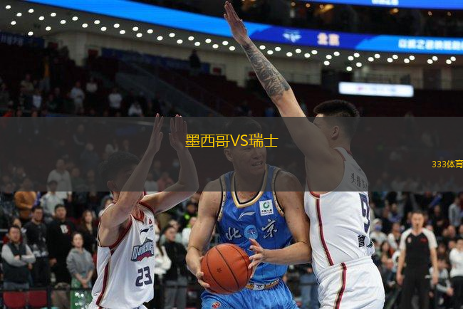 墨西哥VS瑞士