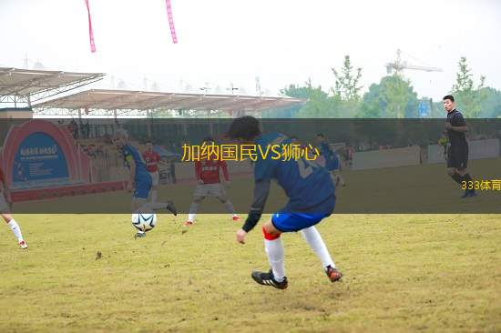 加納國(guó)民VS獅心