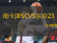 南卡津SCVS東京23