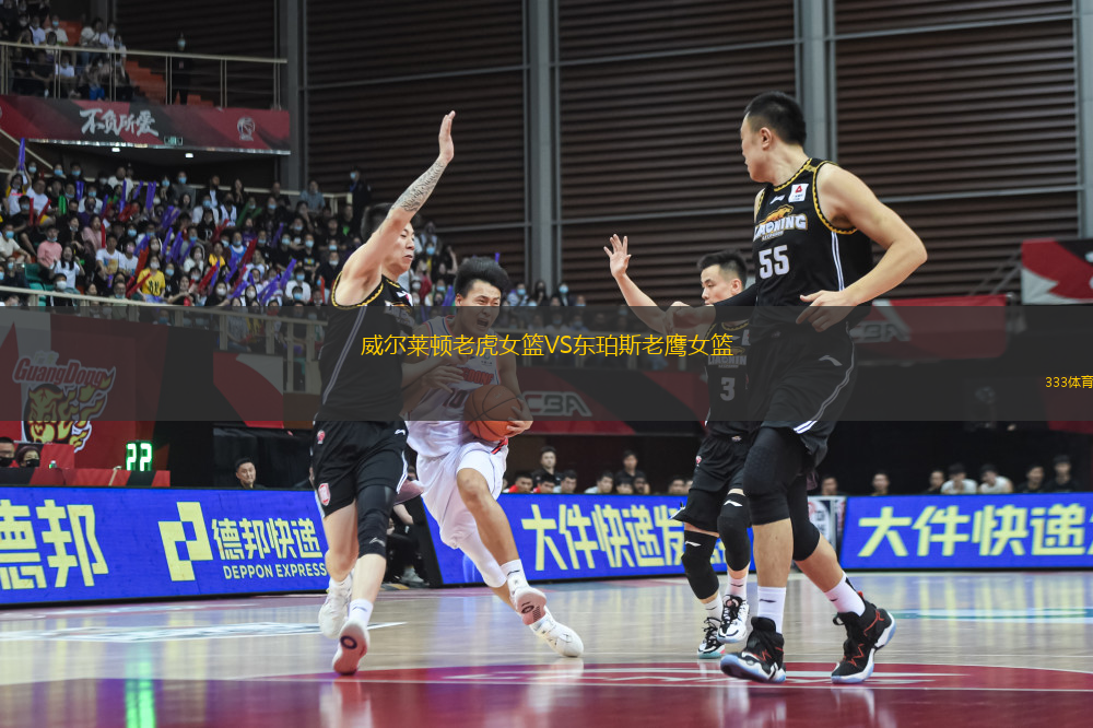 威爾萊頓老虎女籃VS東珀斯老鷹女籃
