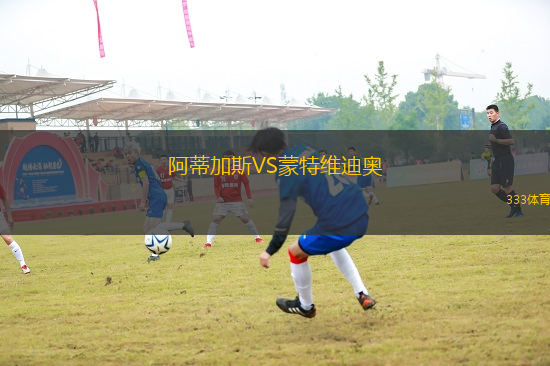 阿蒂加斯VS蒙特維迪奧