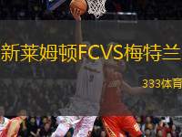 新萊姆頓FCVS梅特蘭
