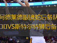 阿德萊德眼鏡蛇后備隊VS斯特爾特獅后備隊